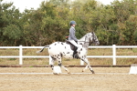 SBM_002677