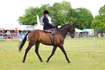 SBM_02808