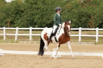 SBM_001964