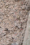 240706A-103815-00870