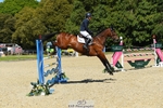 462-WOODLANDS_BE_DARING-Sasha_Hargreaves-SJ portfolio