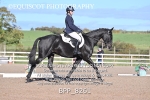 BPP_8261