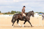 SBM_15485
