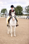 Class 403 - Grassroots Ridden - Junior portfolio