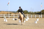 SBM_012526