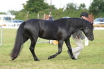 DSC04914