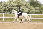 SBM_008864