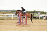 SBM_008980