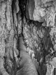 02-Mewslade