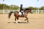 SBM_000939