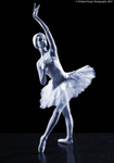 010522-4763wcopy