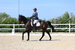 3E7A2013