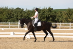 SBM_003887