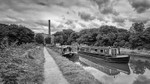 Between Bridges 26a and 27, Macclesfield Canal (3)