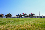 150726-Race 6-Our Absent Friends-4258