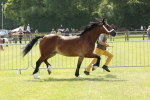 SBM_02336