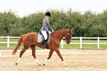 SBM_001339