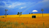 Two Windmills 2
