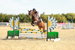 SBM_002558