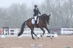Cls 8 BD Young Horse 4YO portfolio