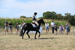 WJ6_8328