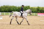 SBM_005890
