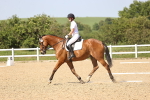 SBM_010235