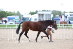 SBM_15371