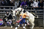 Bulfighters_DSC1806