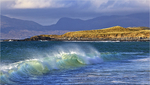 Harris Waves