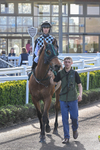 080426-Race 7-Sir Garfield-1283