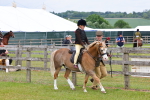 SBM_08101
