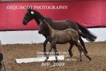 BPP_2099