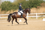 SBM_008468