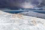 On Snow Mountain
