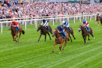 260725-Race 1-Golden Palace-7091