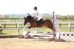 SBM_000991