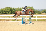 SBM_000980