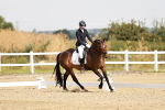 SBM_002565