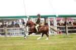 SBM_15797