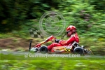 Hill Kart_2010-105