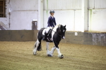 SBM_000223