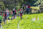 The Finish-689