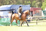 SBM_13697