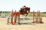 SBM_006213