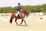 SBM_018144