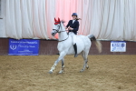 SBM_003809