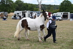 WJ6_5321