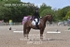 BPP_6317