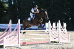 Saturday 5th - Click to View portfolio